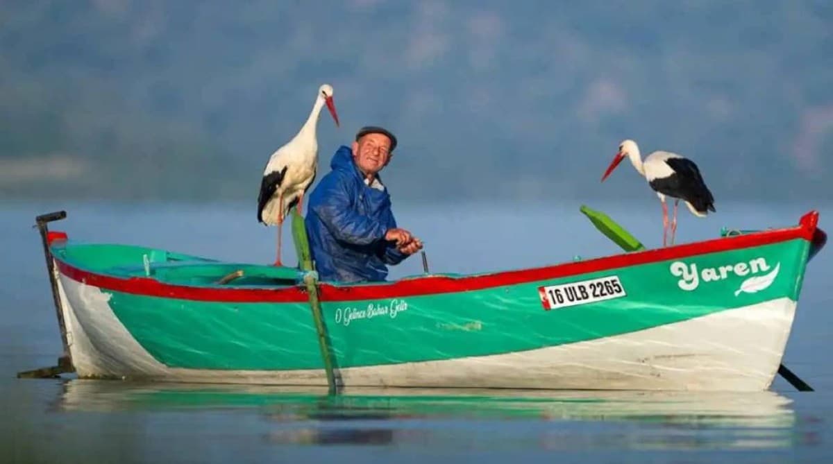 An elderly Turkish fisherman sits in a small boat on Lake Uluabat surrounded by a stork and other birds sharing a meal of fish.