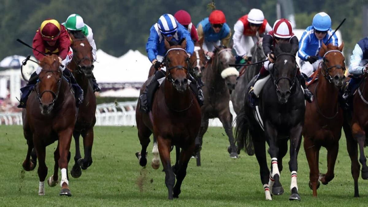 Al Maraq with jockey Tom Marquand after winning the Queen Elizabeth II Jubilee Stakes at Royal Ascot.