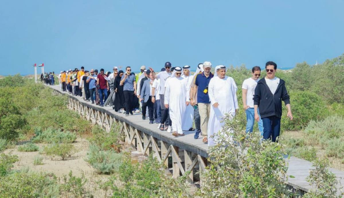 Volunteers plant mangrove trees along the shoreline of the Jebel Ali Marine Reserve as part of a DEWA environmental sustainability initiative.