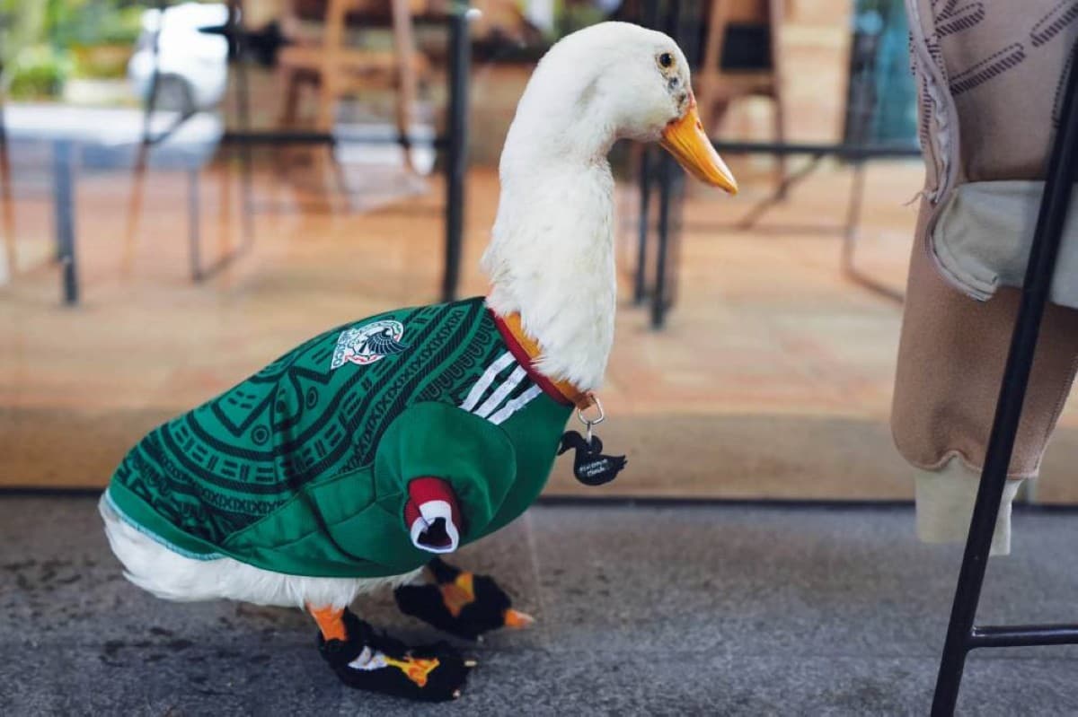 A duck named Merlin wearing a miniature Mexico national team shirt stands among celebrating crowds on Reforma Avenue in Mexico City during World Cup festivities.
