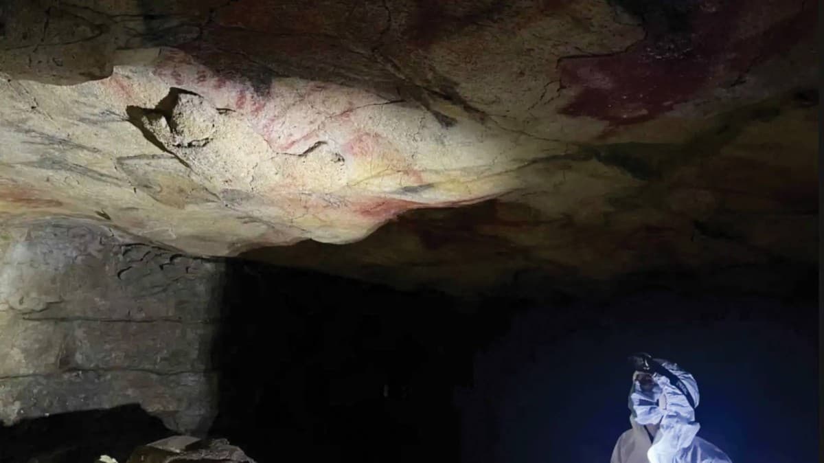 A close-up view of ancient rock art painted on the wall of a cave, with researchers studying the surface to extract genetic material.