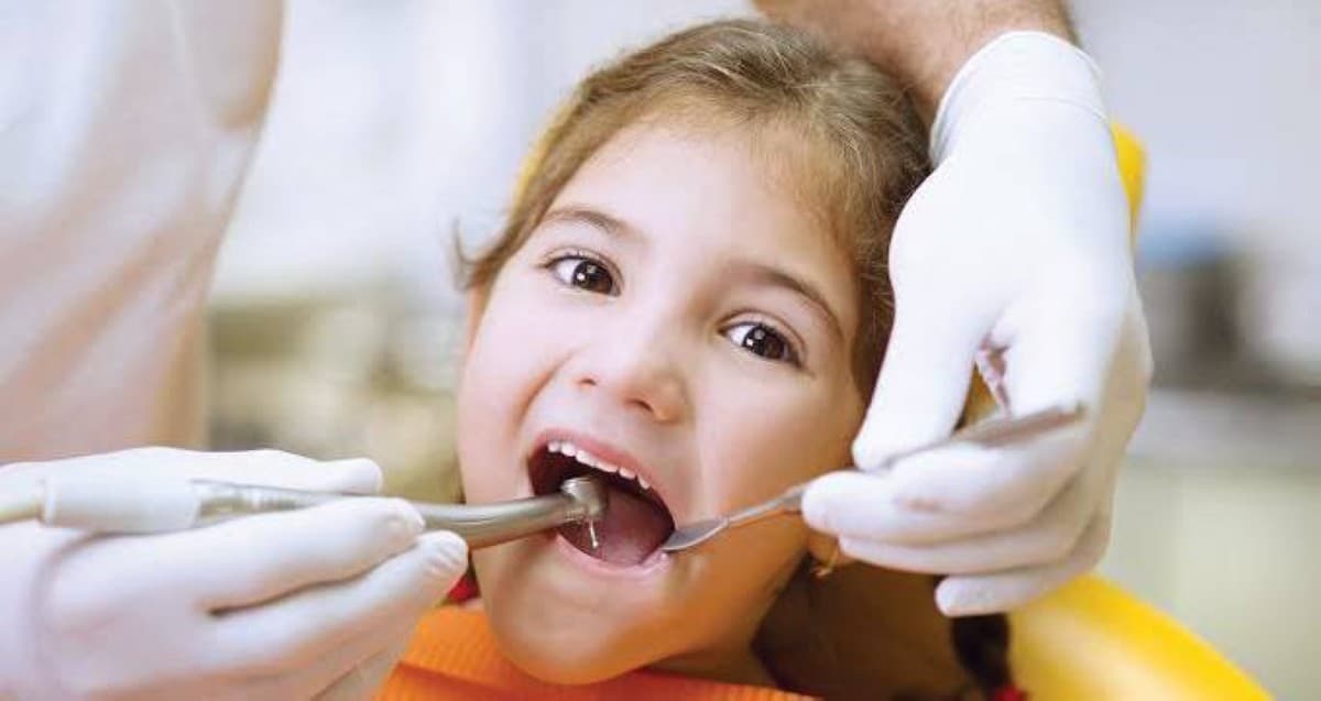 A close-up illustration or clinical image related to tooth regeneration research and dental drug development.