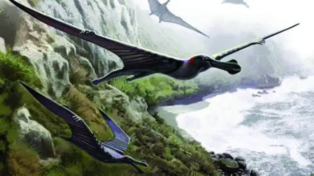 A fossil fragment of a pterosaur wing recovered from the Bahariya Formation in Egypt's Western Desert, dating back more than 95 million years.