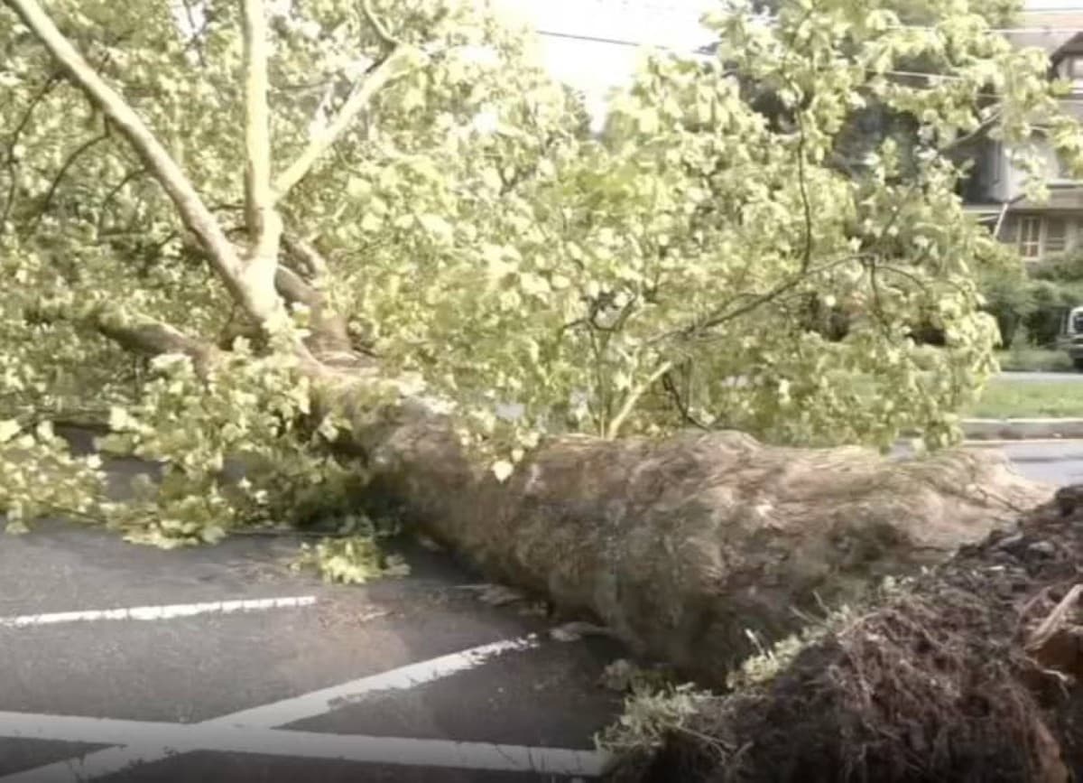 Emergency crews working to clear debris and downed trees on a flooded Philadelphia street following a violent thunderstorm.