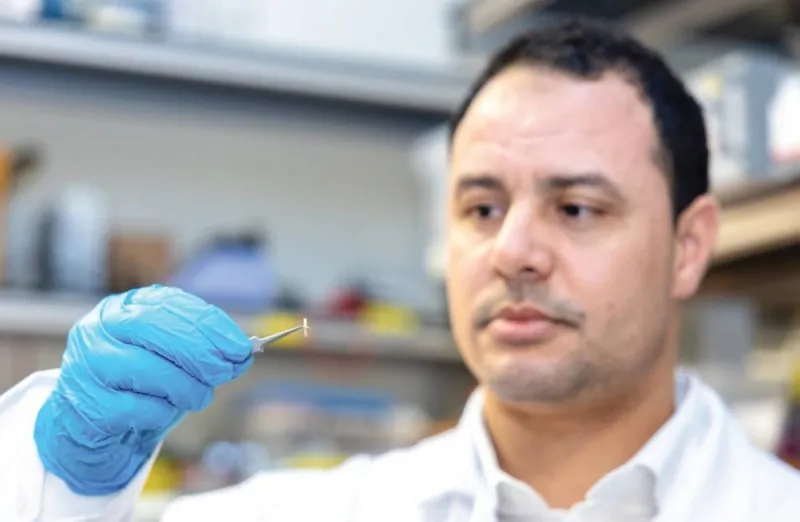 A small injectable medical device developed by NYU Abu Dhabi researchers for wireless, surgery-free treatment of chronic pain and nerve disorders.