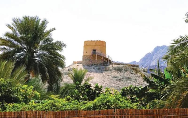 Participants at an archaeological workshop hosted by Dubai Culture, exploring the emirate's heritage and ancient sites.