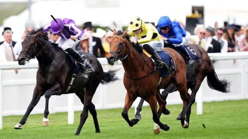 The colt Pow Eco crosses the finish line to win the St James's Palace Stakes Group 1 at Royal Ascot in the United Kingdom.
