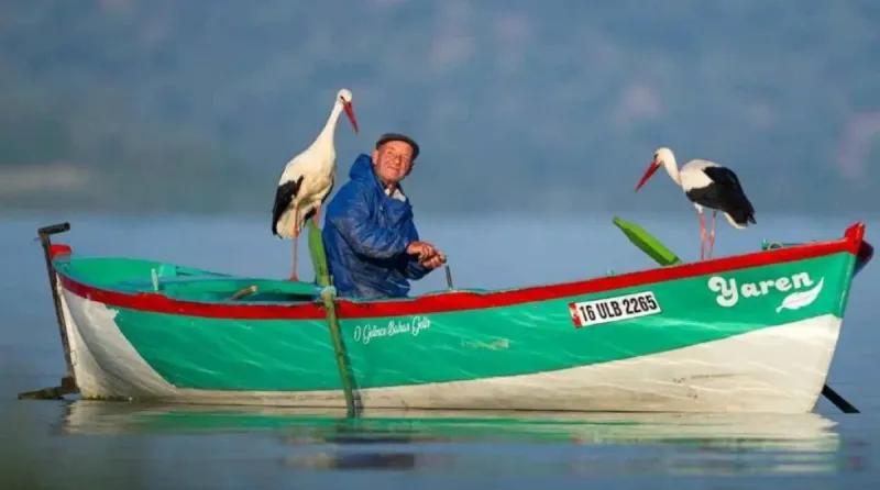 An elderly Turkish fisherman sits in a small boat on Lake Uluabat surrounded by a stork and other birds sharing a meal of fish.