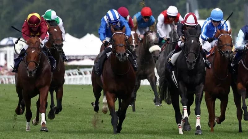 Al Maraq with jockey Tom Marquand after winning the Queen Elizabeth II Jubilee Stakes at Royal Ascot.