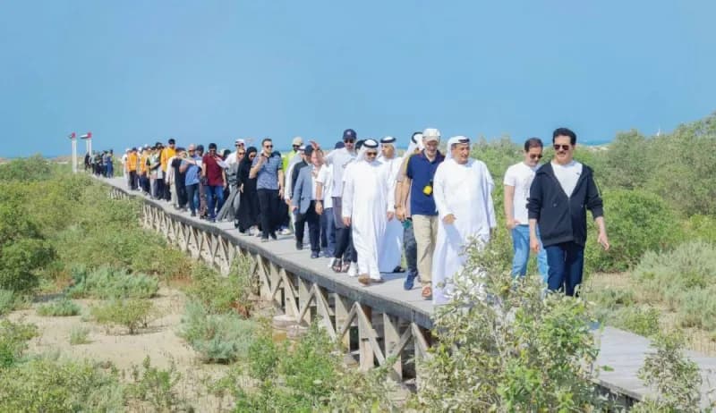 Volunteers plant mangrove trees along the shoreline of the Jebel Ali Marine Reserve as part of a DEWA environmental sustainability initiative.