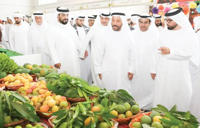 Visitors tour the Khor Fakkan Mango Festival 2026 exhibition halls at the Expo Khor Fakkan Centre, where more than 150 varieties of local mango are on display.