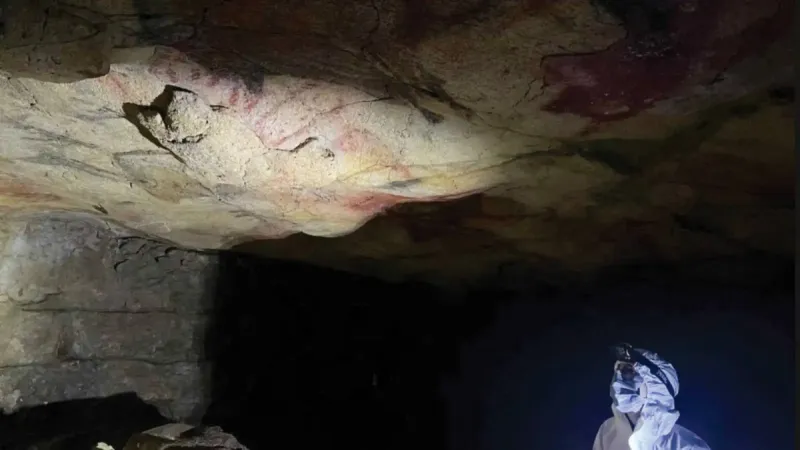 A close-up view of ancient rock art painted on the wall of a cave, with researchers studying the surface to extract genetic material.
