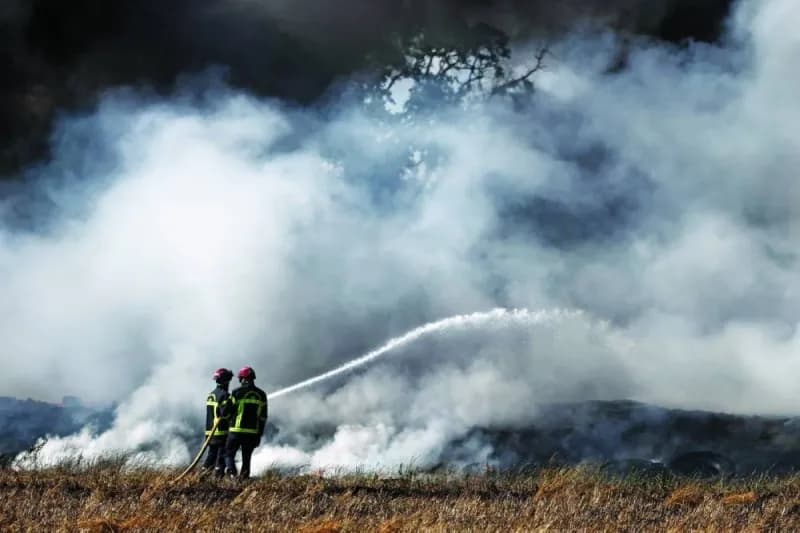 Firefighters battling a forest fire in Europe amid an intense heatwave, with flames and smoke engulfing woodland.