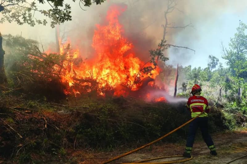 A scorched European landscape under an intense summer heatwave, with dried riverbeds and smoke from wildfires visible in the background.