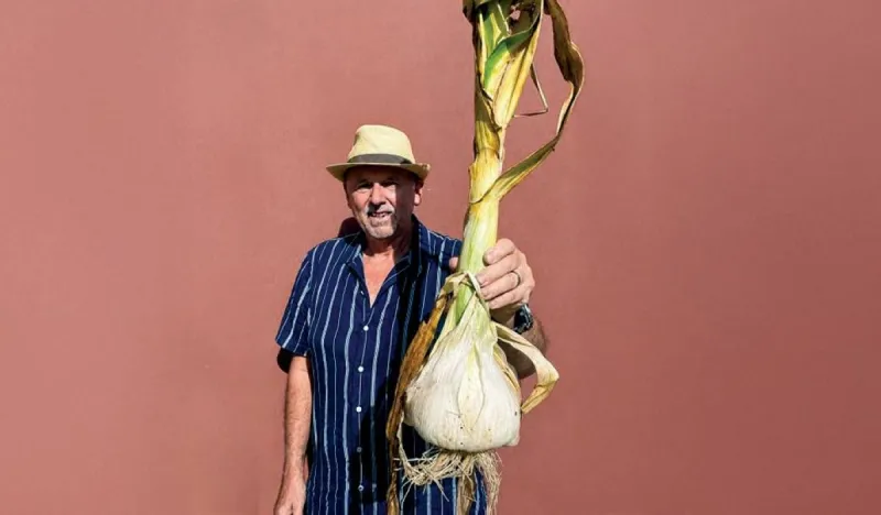 A giant elephant garlic bulb, weighing 1.75 kilograms, set a new Guinness World Record by British farmer Graham Barratt from Gloucestershire, England.