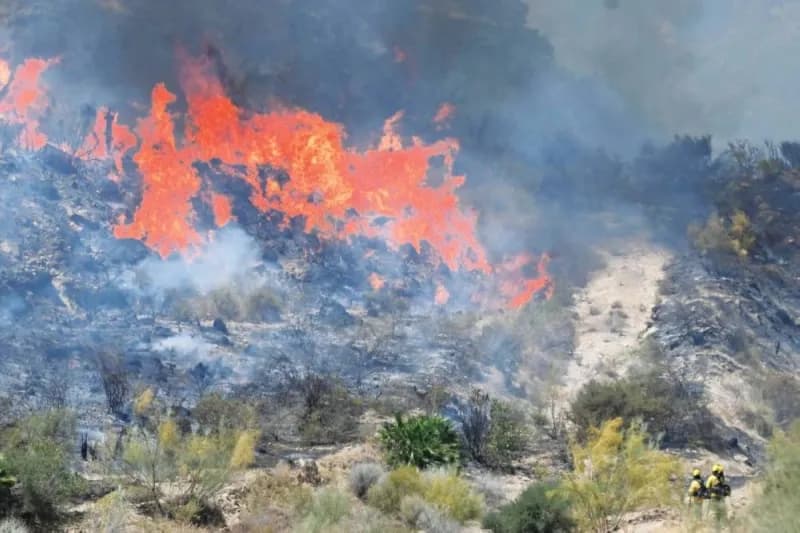 Firefighters battle a rapidly spreading wildfire in a forested area near Los Gallardos in the Almería province of southern Spain.