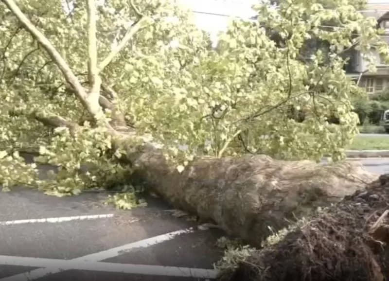 Emergency crews working to clear debris and downed trees on a flooded Philadelphia street following a violent thunderstorm.