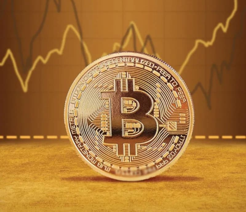 A digital display showing cryptocurrency price movements, with Bitcoin, Ethereum, and Solana among the currencies recording gains.